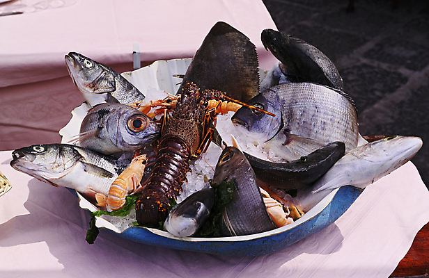 포토 JPG 해외이미지 동물 접시 음식 바다 조각 다이어트 낚시 조개 새우 파슬리 건강 어류 요리 사람없음 식당 얼음 식사 저녁식사 신선 맛 그릴 은색 바닷가재 지중해 먹기 해산물 피부 준비 꼬리 영양 어장 내추럴 점심식사 단백질 생식 해외202004 해외포토 자연요소 식기 컬러 컨셉 채소 모션 주방용품 레저 어패류 갑각류 신체부위 상점 수중동물 가재 영양소 파일형식 이미지허브