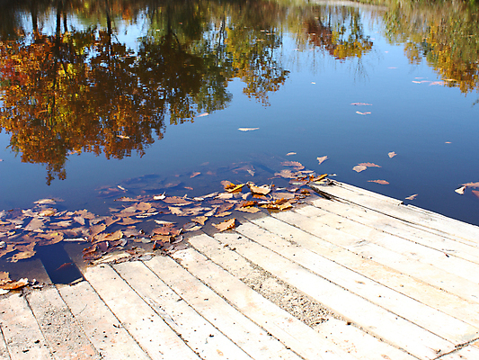 포토 JPG 해외이미지 나무 식물 계절 공원 유럽 지구 호수 야생동물 잎 자연 산 풍경 사람없음 야외 목재 초록색 물 햇빛 태양 노란색 환경 맑음 거울 가을 시골 연못 신선 황무지 숲 언덕 장면 체코 10월 보호구역 생태학 전국 플라타너스 해외202004 해외포토 자연요소 동물 공공시설 교육 나라 컬러 재료 날씨 날짜 생태계 구역 파일형식 이미지허브