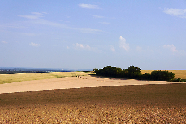 포토 JPG 해외이미지 나무 식물 구름 자연 하늘 풍경 사람없음 여름 농경지 프랑스 시골 언덕 밭일 해외202004 해외포토 자연요소 계절 유럽 농장 생태계 파일형식 이미지허브