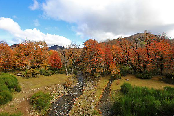 포토 JPG 해외이미지 구름 공원 호수 여행 백그라운드 자연 하늘 산 파노라마 풍경 사람없음 야외 빨간색 물 여름 파란색 빛 강 컬러풀 미국 폭포 하이킹 흐름 추위 개울 정상 그림 태평양 나누기 대서양 남쪽 아르헨티나 감탄 분할 웅장함 전국 절정 해외202004 해외포토 자연요소 계절 공공시설 바다 컬러 컨셉 북아메리카 레저 촬영기법 수학 남아메리카 방향 생태계 사칙연산 파일형식 이미지허브