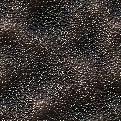 포토 JPG 해외이미지 백그라운드 연체동물 사람없음 빛 해충 벌레 피부 타일 속도 달팽이 부드러움 덮기 느림 기어가기 민달팽이 울퉁불퉁 해외202004 해외포토 곤충 모션 무척추동물 신체부위 감각 파일형식 달팽이_동물 이미지허브