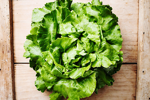 포토 JPG 해외이미지 식물 음식 백그라운드 잎 농업 다이어트 채소 재료 자연 건강 요리 사람없음 목재 초록색 물 머리 주방 정원 샐러드 수확 흰색 신선 원형 상품 유기농 질감 반쪽 양배추 날것 내추럴 채식주의자 비건 해외202004 해외포토 자연요소 도형 나무 웰빙 산업 컬러 신체부위 생태계 채식 파일형식 이미지허브