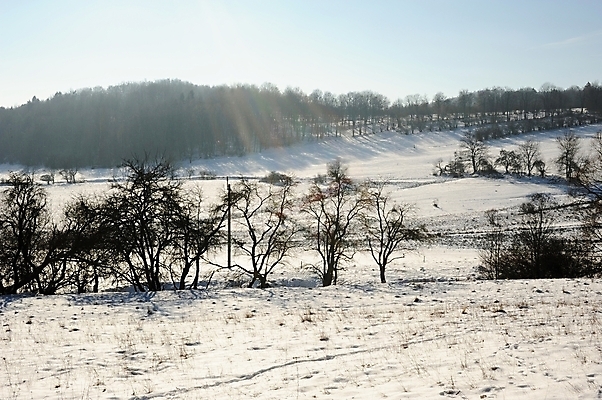 포토 JPG 해외이미지 나무 계절 여행 백그라운드 크리스마스 겨울 자연 하늘 날씨 새로움 산 파노라마 풍경 사람없음 야외 목재 파란색 빛 햇빛 환경 냉동 얼음 추위 흰색 숲 서리 내추럴 폭설 눈내림 해외202004 해외포토 자연요소 식물 기념일 컬러 컨셉 재료 눈_날씨 촬영기법 태양 자연재해 생태계 파일형식 이미지허브