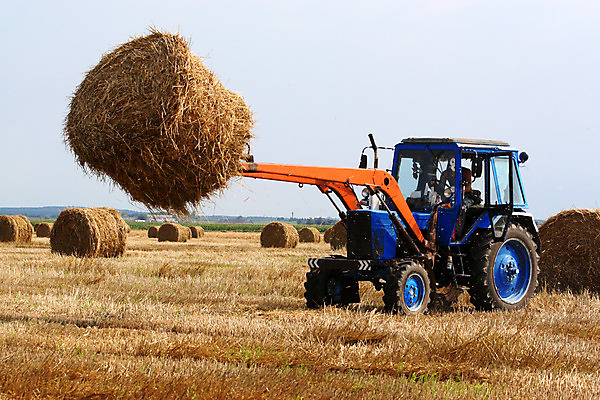 포토 JPG 해외이미지 식물 밭 농업 사람없음 농작물 농장 기계 수확 가을 시골 볏짚 준비 트랙터 뭉치 밀짚 해외202004 해외포토 계절 산업 짚 농기계 특수차량 파일형식 이미지허브