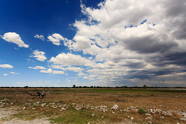 포토 JPG 해외이미지 나무 구름 도로 여행 아프리카 하늘 파노라마 국립공원 풍경 사람없음 여름 파란색 갈색 사파리 먼지 폭풍 아카시아 나미비아 뇌우 사바나 흙길 수평선 해외202004 해외포토 자연요소 식물 계절 공원 나라 길 컬러 교통시설 날씨 촬영기법 흙 남아프리카 파일형식 이미지허브