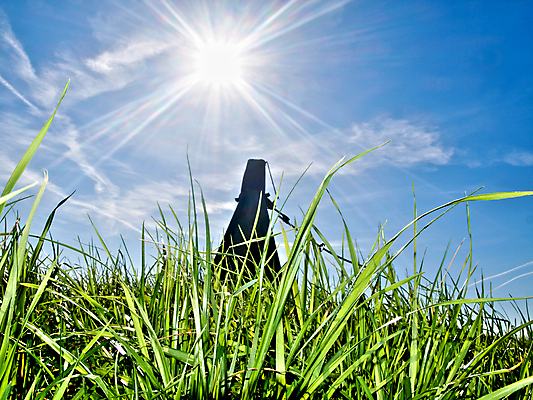 포토 JPG 해외이미지 식물 구름 음식 밭 농업 자연 하늘 풍경 사람없음 초록색 파란색 빛 농작물 햇빛 태양 농장 환경 기계 봄 수확 성장 광선 시골 신선 허브 밭일 해외202004 해외포토 자연요소 계절 산업 컬러 생태계 파일형식 이미지허브