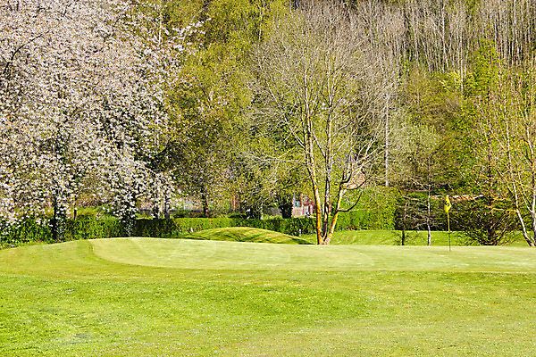 포토 JPG 해외이미지 나무 꽃 스포츠 밭 골프 자연 놀이 풍경 잔디 사람없음 야외 목재 초록색 여름 맑음 봄 프랑스 벚꽃 게임 개화 체리 성자 숲 강의 땅 언덕 클럽 내추럴 노르망디 페어웨이 평야 해외202004 해외포토 식물 계절 유럽 종교 컬러 농업 과일 재료 날씨 구기 생태계 파일형식 이미지허브