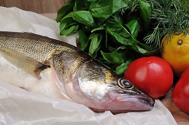 포토 JPG 해외이미지 음식 바다 토마토 재료 어류 요리 사람없음 강 레몬 날것 바질 딜 생식 해외202004 해외포토 채소 과일 수중동물 파일형식 이미지허브