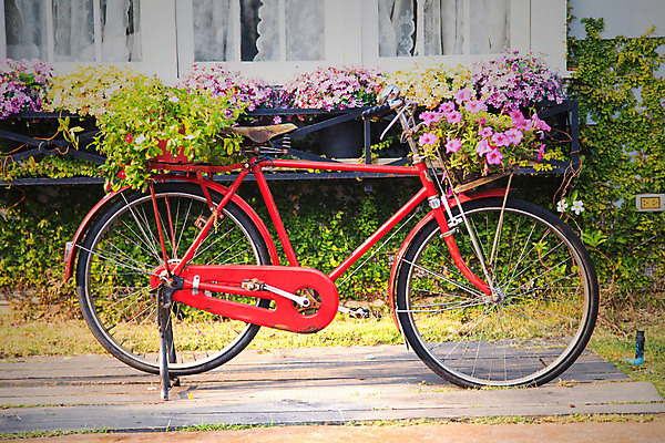 포토 JPG 해외이미지 커플 외관 공원 꽃 벽 꽃다발 여행 백그라운드 건축양식 교통시설 자연 휴가 거리 주택 사람없음 야외 장식 빨간색 울타리 컬러풀 장미 바구니 상점 식당 정원 자전거 수확 골동품 바퀴 개화 묘사 복고 순환 북쪽 옛날 해외202004 해외포토 식물 공공시설 건축 컬러 교통 농업 관계 모션 건물 담장 바이크 방향 시설 생태계 파일형식 이미지허브
