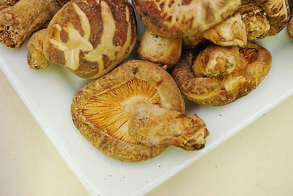 포토 JPG 해외이미지 식물 접시 계절 음식 다이어트 채소 과일 재료 자연 건조 건강 요리 동양인 사람없음 갈색 일본 중국 버섯 흰색 신선 유기농 내추럴 고립 곰팡이 채식주의자 해외202004 해외포토 식기 웰빙 아시아 컬러 인종 생태계 채식 파일형식 이미지허브