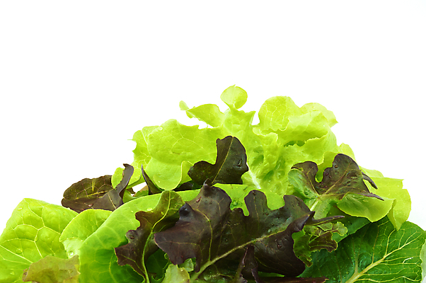 포토 JPG 해외이미지 음식 백그라운드 농업 다이어트 채소 자연 건강 요리 사람없음 초록색 샐러드 흰색 신선 그룹 유기농 날것 고립 채식주의자 해외202004 해외포토 웰빙 산업 컬러 생태계 채식 파일형식 이미지허브