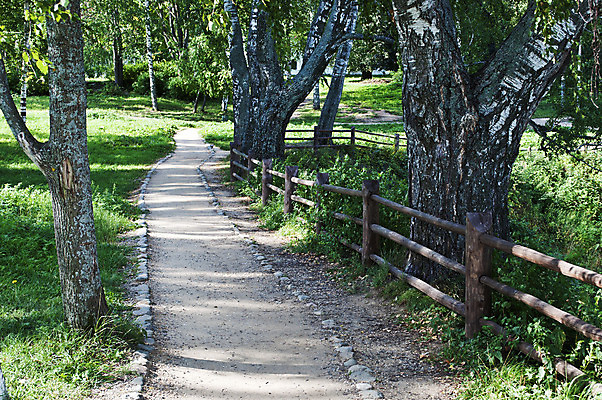 포토 JPG 해외이미지 나무 식물 공원 길 잎 자연 아침 그림자 풍경 사람없음 야외 목재 초록색 여름 울타리 환경 하이킹 시골 보행로 오솔길 땅 러시아 봉 자작나무 땅바닥 방법 해외202004 해외포토 주간 계절 공공시설 유럽 컬러 재료 레저 바닥 담장 생태계 파일형식 이미지허브