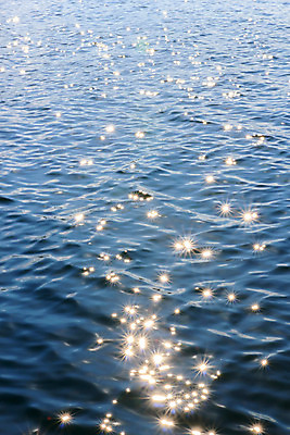 포토 JPG 해외이미지 나무 식물 구름 계절 호수 파도 바다 섬 백그라운드 잎 자연 하늘 표면 아침 산 풍경 사람없음 야외 빨간색 세로 초록색 물 파란색 강 반사 노란색 일출 거울 젖음 흐름 안개 달 가을 나뭇가지 저수지 신선 투명 액체 숲 사자 당구 질감 내추럴 해외202004 해외포토 주간 자연요소 컬러 컨셉 포유류 날씨 구기 노을 생태계 파일형식 이미지허브