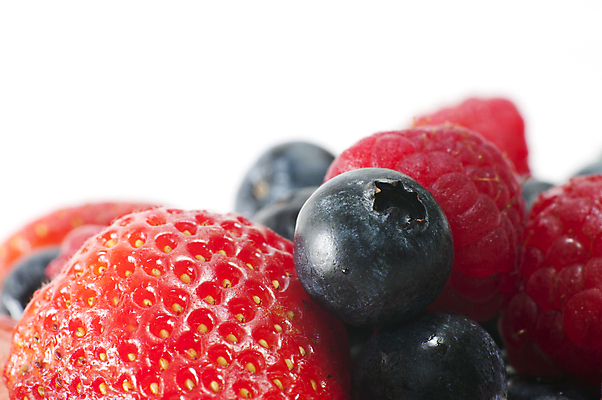 포토 JPG 해외이미지 열매 음식 과일 재료 자연 디저트 건강 사람없음 파란색 컬러풀 신선 그룹 유기농 블루베리 내추럴 고립 섞기 해외202004 해외포토 식물 웰빙 컬러 생태계 파일형식 이미지허브