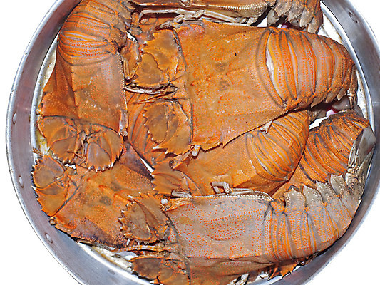 포토 JPG 해외이미지 동물 아시아 음식 바다 재료 태국 자연 건강 육류 요리 동양인 사람없음 식사 그룹 고급 닫기 선택 맛 바닷가재 먹기 해산물 영양분 해외202004 해외포토 나라 컨셉 식재료 모션 인종 가재 생태계 파일형식 이미지허브