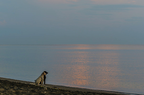 포토 JPG 해외이미지 구름 계절 파도 바다 여행 백그라운드 오렌지 자연 날씨 풍경 사람없음 물 여름 파란색 빛 컬러풀 햇빛 태양 반사 일출 맑음 일몰 봄 새벽 황금 저녁 시력 마법 천국 내일 수평선 해외202004 해외포토 자연요소 컬러 과일 노을 야간 생태계 파일형식 이미지허브