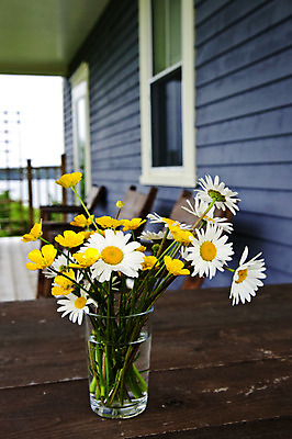 포토 JPG 해외이미지 라이프스타일 꽃 꽃다발 창문 유리 탁자 휴식 주택 사람없음 야외 건물 목재 초록색 물 노란색 평화 꽃병 침묵 고요 흰색 시골 신선 갑판 다발 배열 시골집 데이지 심플 옛날 해외202004 해외포토 자연요소 나무 식물 건축물 컬러 가구 컨셉 배_교통 재료 재질 생활 소리 파일형식 이미지허브