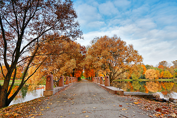 포토 JPG 해외이미지 나무 식물 구름 계절 공원 도로 호수 백그라운드 단풍 잎 오렌지 자연 하늘 풍경 사람없음 야외 빨간색 초록색 물 강 컬러풀 햇빛 갈색 노란색 환경 맑음 활발 가을 시골 신선 황금 숲 오솔길 버드나무 10월 내추럴 벨로루시 해외202004 해외포토 자연요소 공공시설 길 컬러 컨셉 과일 교통시설 날씨 태양 날짜 생태계 파일형식 이미지허브