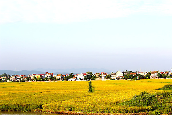 포토 JPG 해외이미지 식물 아시아 문화 음식 여행 백그라운드 농업 태국 자연 하늘 밥 산 동양인 풍경 사람없음 초록색 파란색 농장 계곡 중국 수확 시골 낟알 베트남 논밭 밭일 해외202004 해외포토 나라 산업 컬러 밭 논 인종 동남아시아 생태계 파일형식 이미지허브