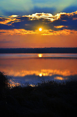 포토 JPG 해외이미지 나무 식물 계절 실루엣 호수 백그라운드 자연 하늘 표면 아침 낚시 풍경 취미 사람없음 야외 빨간색 물 여름 빛 컬러풀 태양 반사 노란색 일출 환경 침묵 황혼 일몰 봄 새벽 활발 안개 달력 광선 가을 시골 연못 황금 숲 무서움 속도 장면 뿌연 해외202004 해외포토 주간 자연요소 감정 컬러 컨셉 레저 날씨 촬영기법 노을 소리 생태계 파일형식 이미지허브