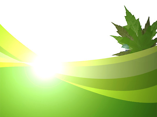 포토 JPG 해외이미지 식물 행복 백그라운드 컨셉 자연 아침 사람없음 초록색 물 컬러풀 햇빛 태양 노란색 페인트 흰색 최고 내추럴 스타일 해외202004 해외포토 주간 자연요소 감정 컬러 생태계 파일형식 이미지허브