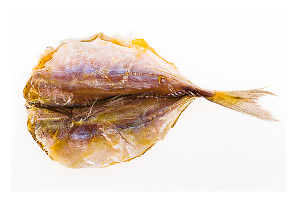 포토 JPG 해외이미지 동물 1 전통 음식 백그라운드 패턴 자연 표면 건조 어류 동양인 사람없음 태양 튀김 흰색 오픈 맛 그릴 준비 질감 소금 깨 내추럴 고립 식용 절임 짠맛 스타일 해외202004 해외포토 자연요소 컬러 컨셉 무늬 식재료 주방용품 인종 수중동물 조미료 생태계 파일형식 이미지허브