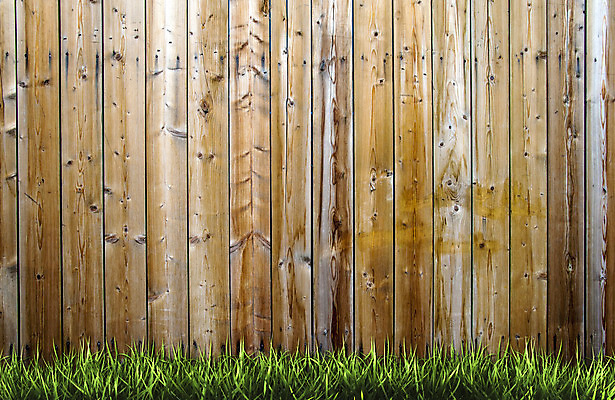 포토 JPG 해외이미지 식물 계절 공원 벽 백그라운드 잎 밭 농업 텍스트 벽지 놀이 날씨 프레임 풍경 잔디 사람없음 목재 가로 초록색 여름 울타리 농장 봄 활발 흰색 시골 신선 닫기 땅 허브 원예 장면 천국 밭일 평야 수평선 해외202004 해외포토 나무 공공시설 산업 컬러 컨셉 재료 모션 자연 취미 담장 파일형식 이미지허브