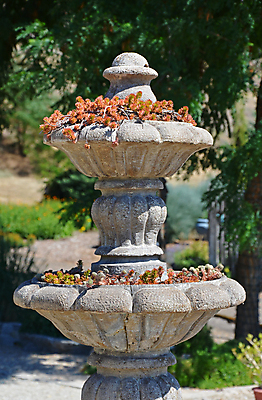 포토 JPG 해외이미지 식물 공원 자연 사람없음 장식 정원 맑음 바위 시골 화려 분수 화강암 해외202004 해외포토 공공시설 컨셉 날씨 암석 돌_바위 생태계 파일형식 이미지허브