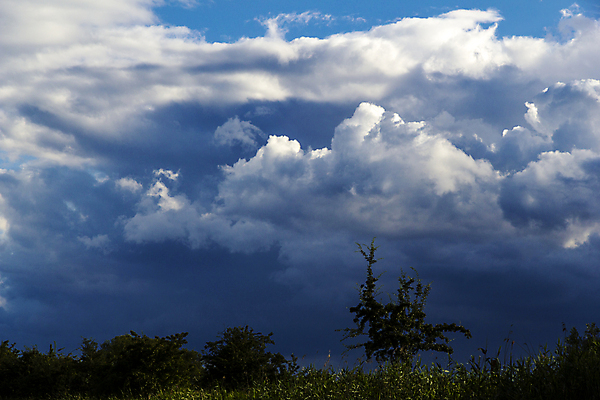 포토 JPG 해외이미지 계절 실루엣 유럽 자연 독일 풍경 사람없음 물 여름 파란색 어둠 숲 폭풍우 해외202004 해외포토 자연요소 나라 컬러 촬영기법 비_날씨 자연재해 생태계 파일형식 이미지허브