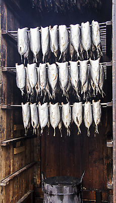 포토 JPG 해외이미지 전통 접시 산업 문화 음식 바다 섬 다이어트 자연 낚시 건조 흡연 건강 노르웨이 어류 요리 풍경 사람없음 강 방 신선 바 시장 맛 아침식사 주식 먹기 해산물 소금 연어 진홍색 고등어 리빙 훈제 바이오 신발장 옛날 줄서기 청어 크리스마스이브 해외202004 해외포토 식기 유럽 컨셉 크리스마스 모션 레저 담배 빨간색 금융 식사 수중동물 생태계 파일형식 이미지허브