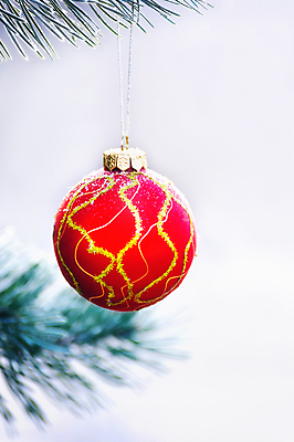 포토 JPG 해외이미지 나무 전통 디자인 계절 행복 리본 백그라운드 크리스마스 겨울 공 유리 휴가 새로움 매달리기 사람없음 장식 빨간색 초록색 빛 축제 장식볼 흰색 나뭇가지 축하 인사 소나무 신용카드 황금 12월 연도 고립 여의주 해외202004 해외포토 식물 기념일 감정 컬러 컨셉 모션 재질 금융 예절 날짜 파일형식 이미지허브