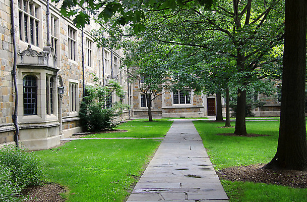 포토 JPG 해외이미지 나무 사람없음 초록색 계단 산책 회색 바위 그늘 대학교 단계 방법 해외202004 해외포토 식물 컬러 학교 휴식 돌_바위 파일형식 이미지허브