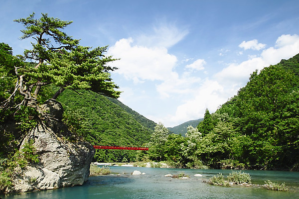 포토 JPG 해외이미지 나무 여행 자연 하늘 산 풍경 사람없음 야외 목재 초록색 물 여름 파란색 내추럴 해외202004 해외포토 자연요소 식물 계절 컬러 재료 생태계 파일형식 이미지허브