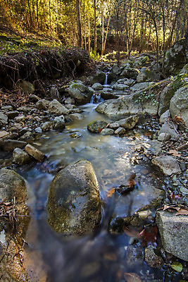 포토 JPG 해외이미지 나무 식물 지구 모션 자연 산 이끼 사람없음 초록색 물 강 달리기 환경 화목 침묵 폭포 흐름 가을 신선 개울 황무지 숲 포르투갈 순수 암초 내추럴 해외202004 해외포토 자연요소 계절 유럽 컬러 컨셉 소리 생태계 파일형식 이미지허브