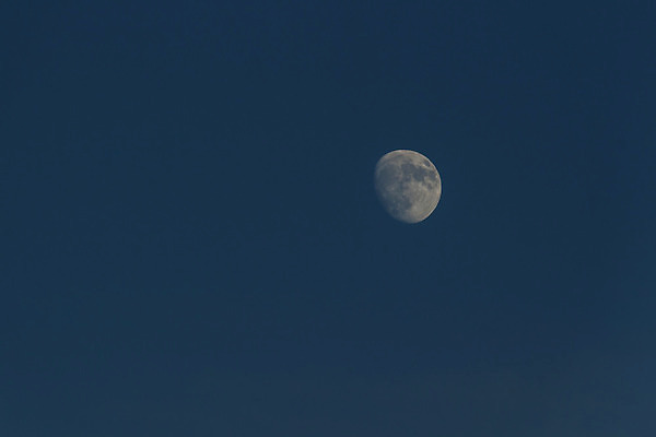 포토 JPG 해외이미지 바다 과학 백그라운드 하늘 표면 사람없음 빛 우주 검은색 어둠 회색 달 흰색 원형 야간 가득함 묘사 오브젝트 천문학 단계 고립 해외202004 해외포토 자연요소 도형 교육 컬러 파일형식 이미지허브