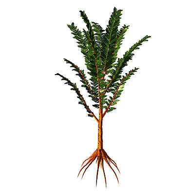 포토 JPG 해외이미지 나무 식물 1 줄기 잎 일러스트 자연 사람없음 초록색 3D 환경 싱글 흰배경 고립 혼자 쥬라기 해외202004 해외포토 컬러 백그라운드 흰색 디지털합성 생태계 파일형식 이미지허브