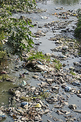 포토 JPG 해외이미지 식물 산업 아시아 종이 가방 자연 사람없음 물 여름 강 쌓기 환경 재활용 손상 도시 지저분함 쓰레기 폐기물 플라스틱 가난 땅 버리기 냄새 웅덩이 먼지 네팔 불쾌함 악취 낭비 판지 생태학 재앙 카트만두 해로움 화학약품 히말라야 해외202004 해외포토 자연요소 잡화 계절 교육 감정 나라 컨셉 모션 재질 감각 화학 친환경 생태계 물질 파일형식 산맥 이미지허브