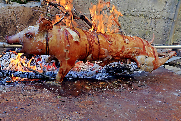 포토 JPG 해외이미지 동물 전통 음식 불 육류 돼지고기 요리 사람없음 식당 식사 저녁식사 아기 신선 돼지 막대기 꼬치 맛 작음 굽기 먹기 꼬리 햄 해외202004 해외포토 자연요소 컨셉 식재료 포유류 모션 사람 상점 크기 구이 파일형식 이미지허브