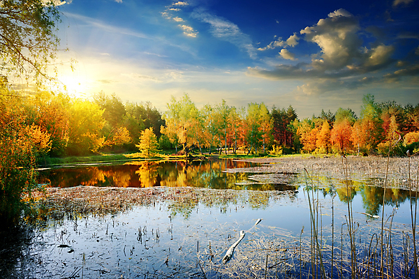 포토 JPG 해외이미지 주간 나무 구름 호수 자연 하늘 사람없음 야외 햇빛 가을풍경 가을 해외202004 해외포토 자연요소 식물 계절 풍경 태양 생태계 파일형식 가을_계절 이미지허브