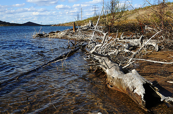 포토 JPG 해외이미지 나무 식물 호수 자연 건조 경사 사람없음 목재 환경 죽음 언덕 부식 뿌리 가뭄 생태학 옛날 해외202004 해외포토 교육 재료 날씨 생태계 파일형식 이미지허브