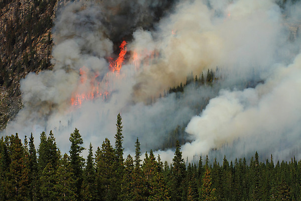 포토 JPG 해외이미지 나무 캐나다 오렌지 불 불꽃 산 건조 사람없음 빨간색 여름 노란색 맑음 붓 뜨거움 연기 더위 숲 위험 화재 연소 수목 앨버타 재앙 해외202004 해외포토 자연요소 식물 계절 컬러 컨셉 북아메리카 과일 날씨 사건 파일형식 이미지허브