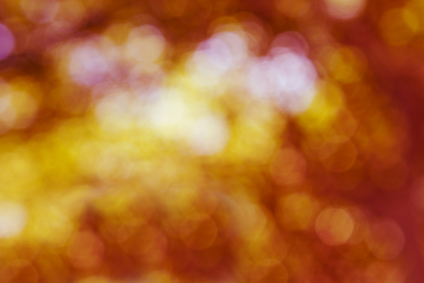 포토 JPG 해외이미지 행복 백그라운드 크리스마스 오렌지 자연 아침 발렌타인데이 그림자 이벤트 사람없음 빛 햇빛 노란색 희망 봄 신선 원형 달콤 소프트포커스 그늘 보케 공상 내추럴 해외202004 해외포토 주간 도형 계절 기념일 감정 컬러 과일 데이이벤트 촬영기법 태양 맛 생태계 파일형식 이미지허브