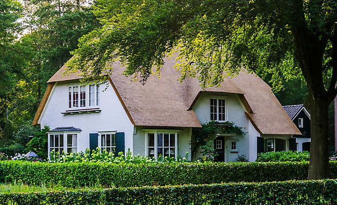 포토 JPG 해외이미지 나무 외관 건축양식 창문 자연 지붕 부동산 주택 사람없음 야외 건물 옆모습 마을 수확 흰색 시골 클래식 고급 숲 옥상 빌라 네덜란드 시골집 복고 방갈로 밀짚 리빙 삼림지대 옛날 스타일 해외202004 해외포토 식물 건축물 건축 유럽 뷰포인트 컬러 컨셉 농업 숙소 재산 짚 생태계 파일형식 이미지허브