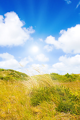 포토 JPG 해외이미지 구름 유럽 모래 바다 섬 여행 자연 하늘 바람 날씨 휴가 독일 풍경 사람없음 야외 초록색 물 여름 파란색 빛 햇빛 태양 맑음 봄 모래언덕 네덜란드 북쪽 수평선 해외202004 해외포토 자연요소 계절 나라 컬러 방향 언덕 생태계 파일형식 이미지허브