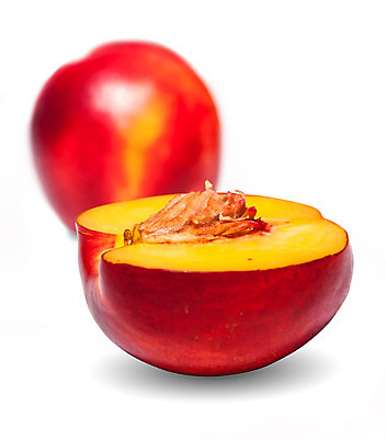 포토 JPG 해외이미지 음식 조각 과일 건강 씨앗 사람없음 빨간색 노란색 신선 달콤 맛 흰배경 내추럴 고립 천도복숭아 해외202004 해외포토 식물 컬러 백그라운드 컨셉 흰색 복숭아 파일형식 이미지허브