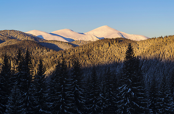 포토 JPG 해외이미지 나무 계절 겨울 오렌지 자연 하늘 아침 휴가 휴식 산 그림자 풍경 사람없음 야외 파란색 빛 햇빛 노란색 일출 새벽 황무지 정상 숲 고도 언덕 산등성이 서리 지역 스카이라인 산악지대 삼림지대 절정 눈내림 가문비나무 해외202004 해외포토 주간 자연요소 식물 컬러 컨셉 과일 눈_날씨 태양 노을 생태계 파일형식 이미지허브