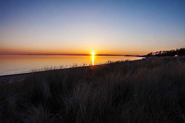 포토 JPG 해외이미지 모래 파도 바다 여행 백그라운드 오렌지 자연 하늘 날씨 휴가 휴식 풍경 사람없음 야외 물 여름 빛 모래사장 햇빛 태양 반사 노란색 일출 맑음 황혼 일몰 새벽 황금 저녁 마법 스카이라인 수평선 해외202004 해외포토 자연요소 계절 컬러 컨셉 과일 노을 야간 생태계 파일형식 이미지허브