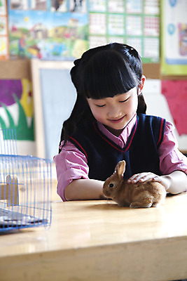 포토 JPG 해외이미지 한마리 긴머리 여학생 교육 교실 놀이 탁자 갈색머리 실내 초등학교 한명 앉기 상반신 세로 반려동물 컬러풀 중국 가축 터치 토끼 흥분 베이징 내려보기 해외202004 해외포토 동물 1 학생 헤어스타일 여자 감정 아시아 컬러 가구 포유류 학교 모션 사람 내부 파일형식 이미지허브