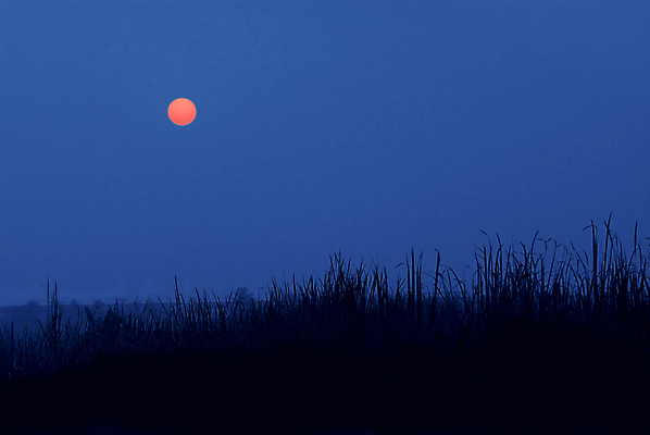 포토 JPG 해외이미지 백그라운드 오렌지 추상 사람없음 빨간색 파란색 검은색 황혼 일몰 새벽 해외202004 해외포토 자연요소 컬러 무늬 과일 노을 파일형식 이미지허브