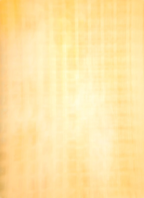 포토 JPG 해외이미지 디자인 종이 백그라운드 패턴 일러스트 자연 벽지 표면 날씨 추상 프레임 미술 사람없음 목재 그래픽 장식 초록색 파란색 빛 갈색 노란색 우주 어둠 페인트 공백 수확 골동품 흰색 얼룩 거친 질감 복고 캔버스 시멘트 페이지 구김 그런지 엘리먼트 옛날 해외202004 해외포토 나무 컬러 무늬 농업 재료 모션 문화예술 생태계 파일형식 이미지허브